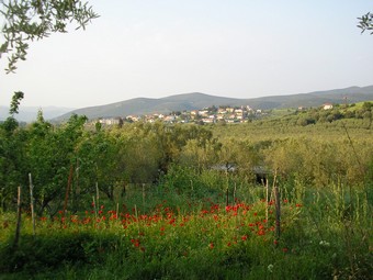 Blick auf Nachbardorf